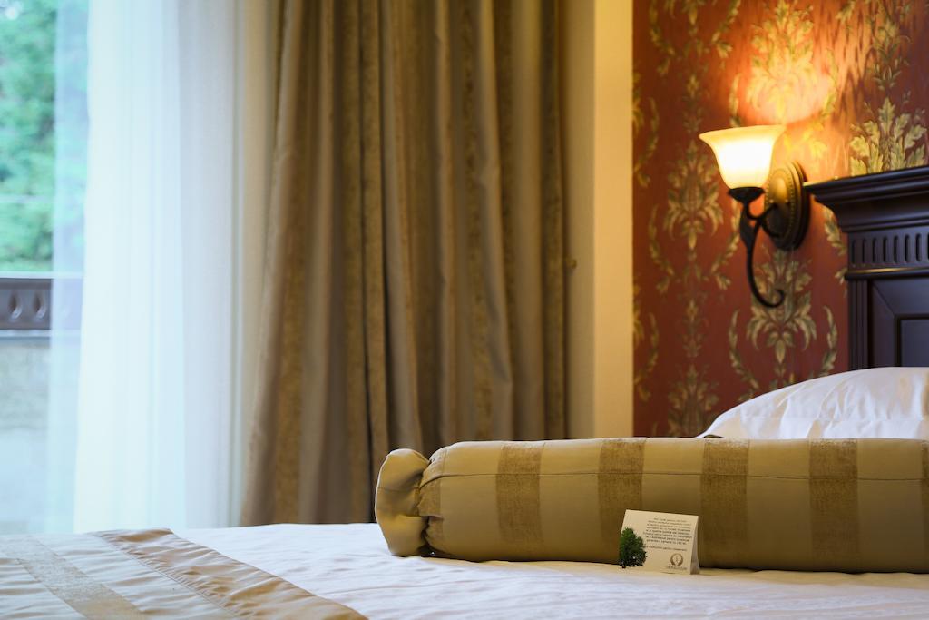 Hotel Foisorul Cu Flori シナヤ 部屋 写真